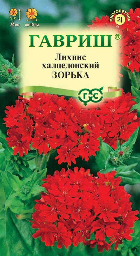 Семена Лихнис халцедонский Зорька, 0,1 г - фото
