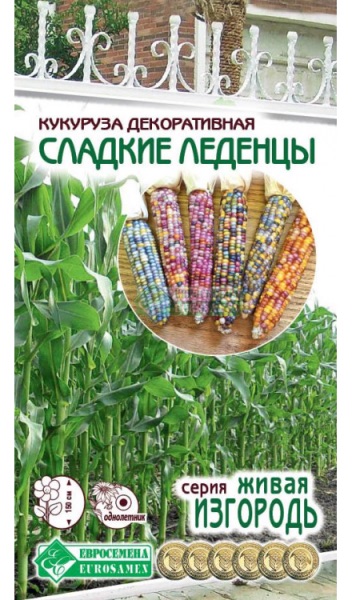 Семена Кукуруза декоративная Сладкие Леденцы, 10 шт - фото