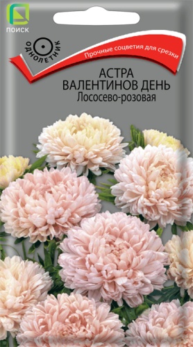 Семена Астра Валентинов день Лососево-розовая, 0,2 г - фото