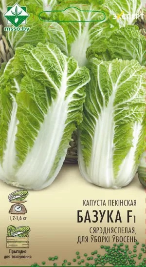 Семена Капуста пекинская Базуко F1, 12 шт (Эксперт) - фото
