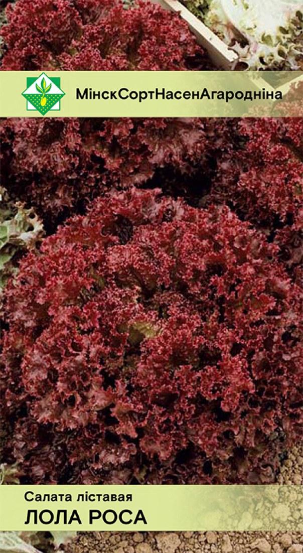 Семена Салат Лолло Росса листовой, 0,8 г МинскСортСемОвощ - фото