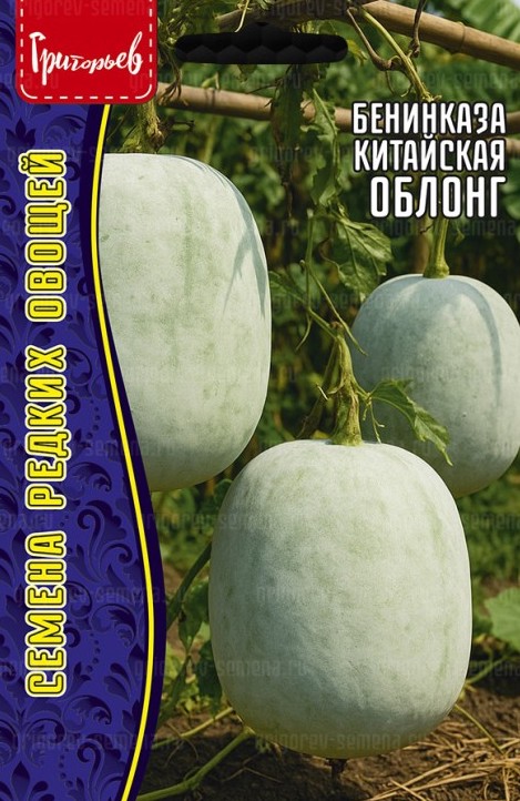 Семена Бенинказа Облонг китайская, 5 шт - фото