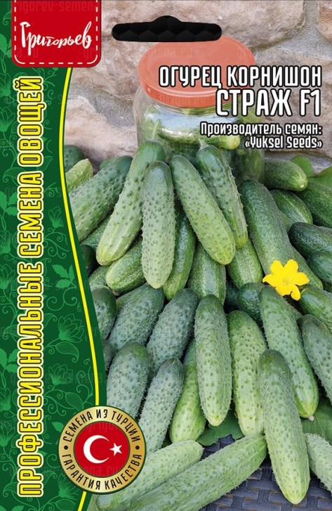 Семена Огурец Страж F1, 5 шт - фото