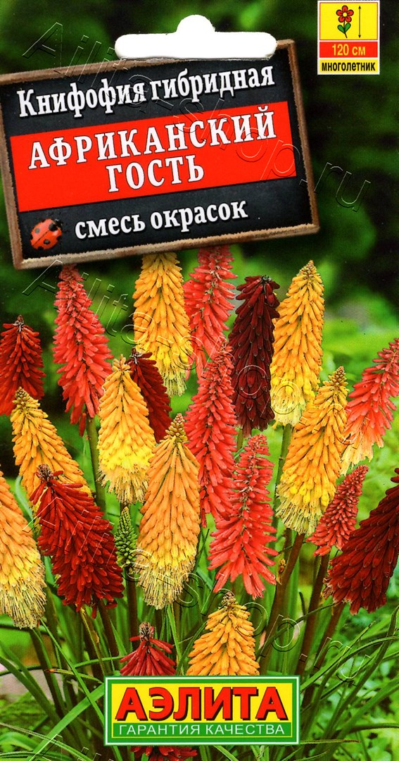 Семена Книфофия Африканский гость, смесь сортов, 30 шт - фото