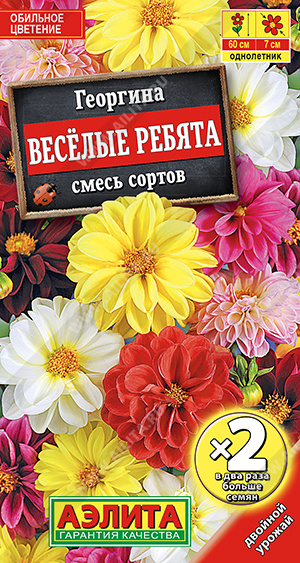 Семена Георгина Веселые ребята смесь сортов, 0,6 г - фото