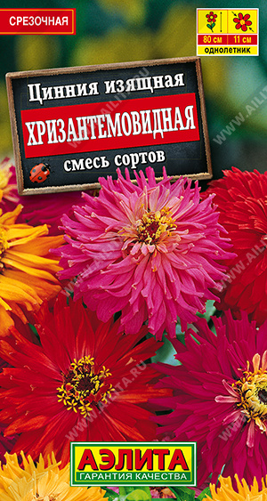 Семена Цинния Хризантемовидная смесь сортов, 0,5 г - фото