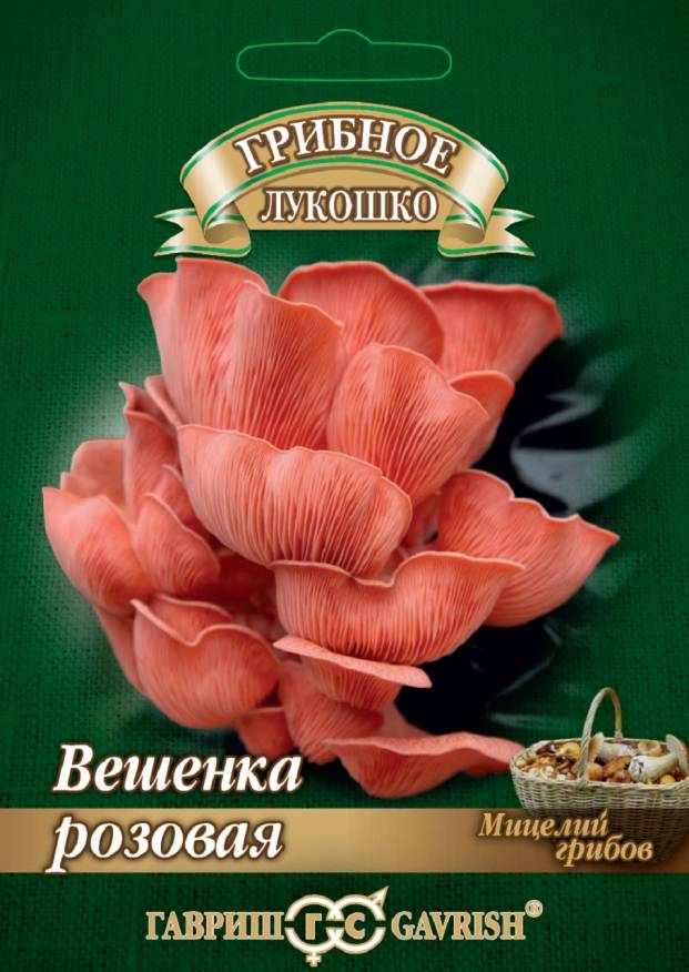 Семена Мицелий Вешенка Розовая на древесной палочке, 12 шт - фото