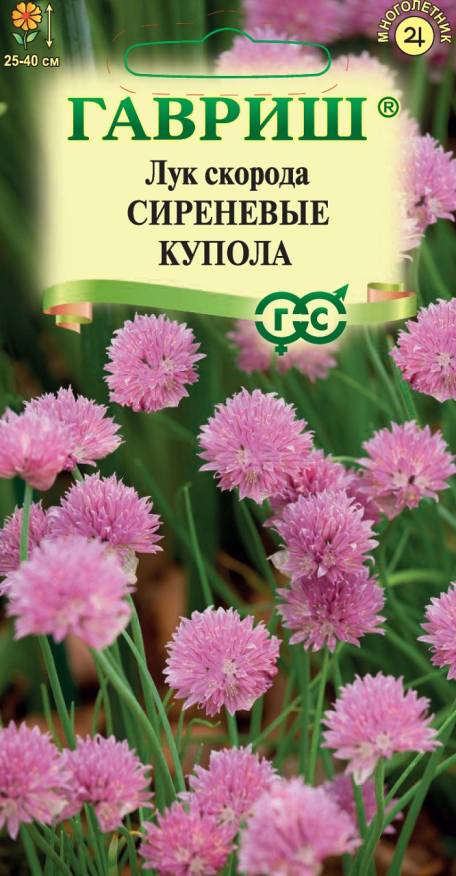 Семена Лук скорода (декоративный) Сиреневые купола, 0,1 г - фото