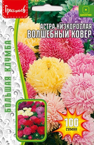 Семена Астра низкорослая Волшебный Ковёр смесь, 100 шт - фото