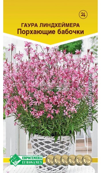 Семена Гаура линдхеймера Порхающие Бабочки, 10 шт - фото