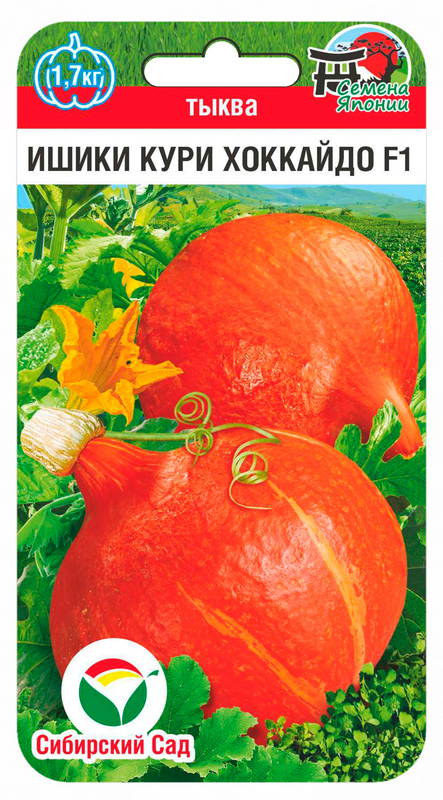 Семена Тыква Ишики Кури Хоккайдо F1, 3 шт - фото