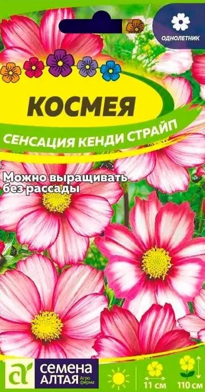 Семена Космея Сенсация Кенди Страйп, 0,5 г - фото