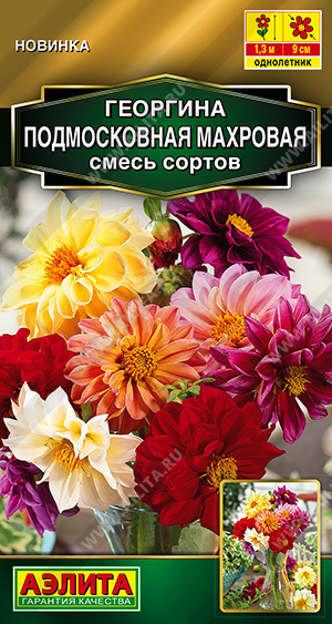 Семена Георгина Подмосковная махровая смесь сортов, 10 шт - фото