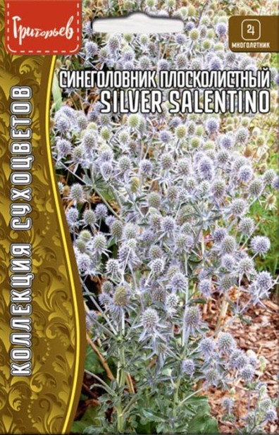 Семена Синеголовник плосколистный (Чертогон) Silver Salentino, 0,07 г - фото