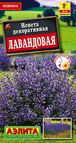 Семена Непета декоративная Лавандовая, 0,1 г - фото