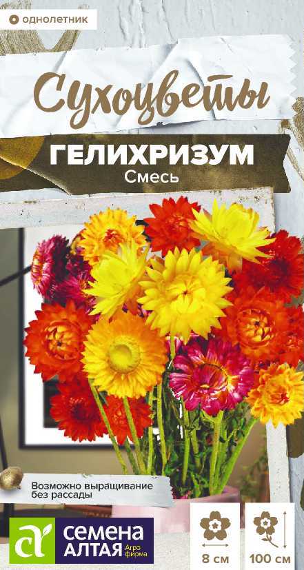 Семена Гелихризум Махровый смесь, 0,1 г - фото