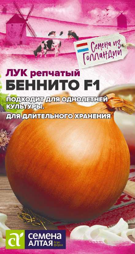 Семена Лук Беннито F1, 0,2 г - фото