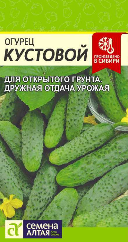 Семена Огурец Кустовой, 0,5 г - фото