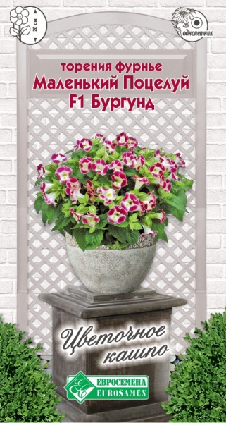 Семена Торения Фурнье Маленький Поцелуй Бургунд F1, 3 шт - фото