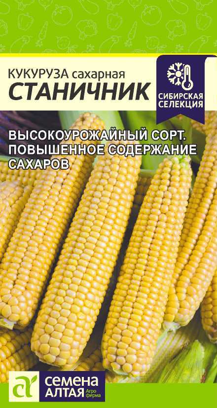 Семена Кукуруза Станичник, 3 г - фото