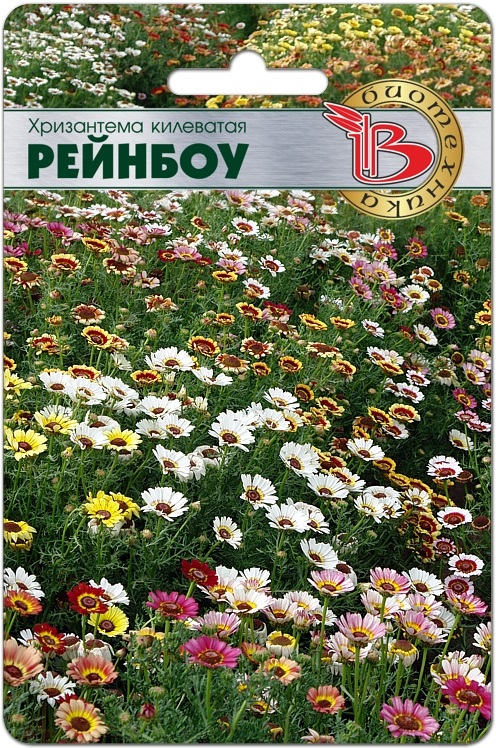 Семена Хризантема килеватая смесь расцветок Рейнбоу, 10 шт - фото