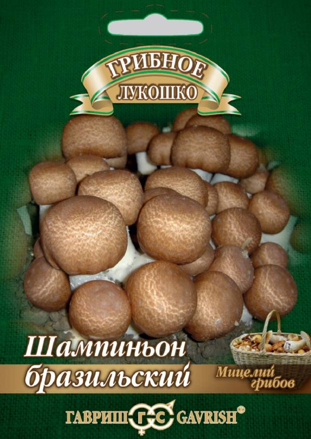 Мицелий Шампиньон Бразильский на зерновом субстрате, 10 мл - фото