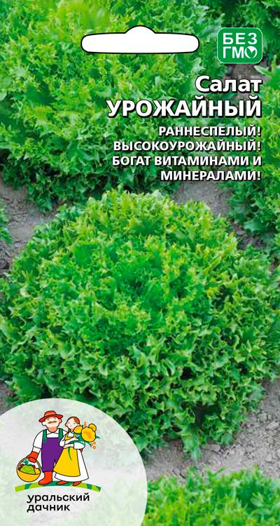 Семена Салат Урожайный, 0,25 г - фото