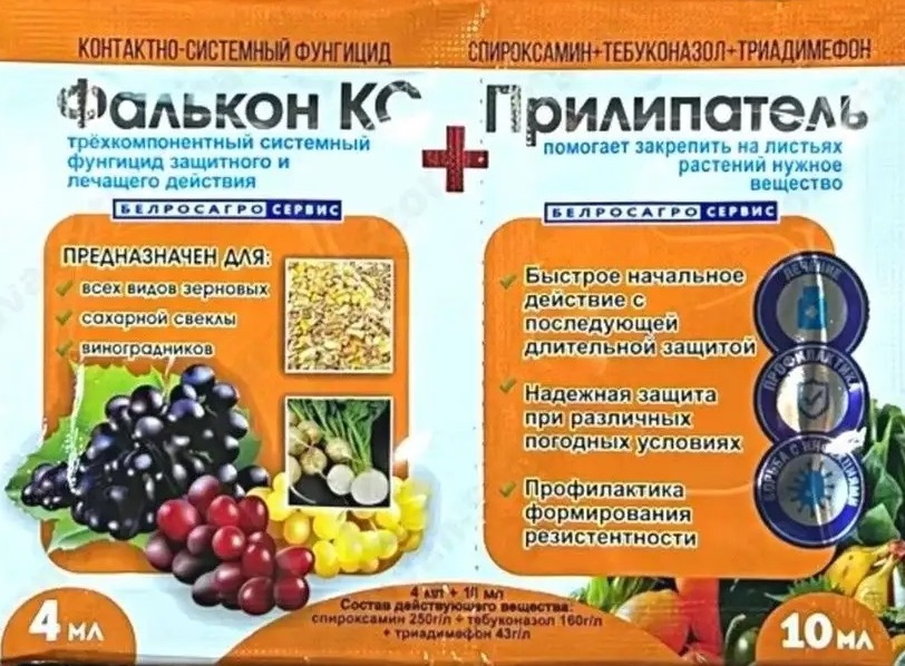 Фалькон КС + прилипатель, 4 мл+10 мл - фото