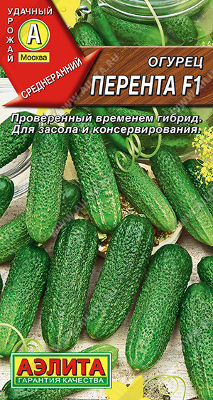 Семена Огурец Перента F1, 10 шт - фото