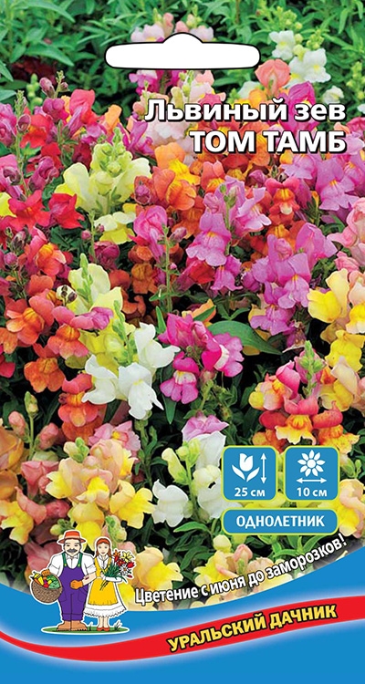 Семена Львиный зев Том Тамб, 0,05 г - фото