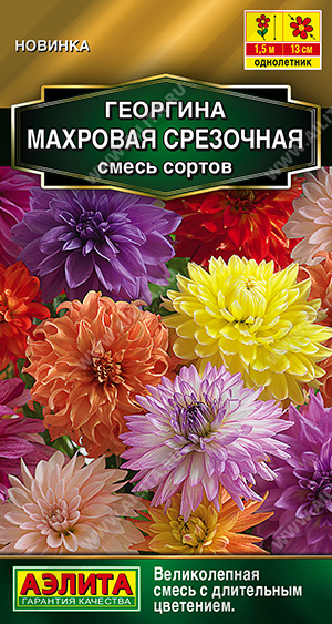 Семена Георгина Махровая срезочная смесь сортов, 0,2 г - фото