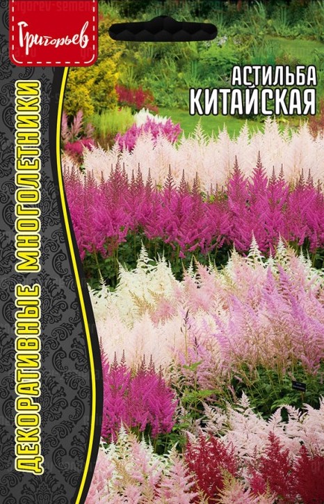 Семена Астильба Китайская, 0,05 г - фото