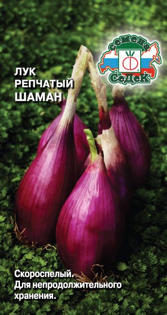 Семена Лук Шаман, 1 г - фото