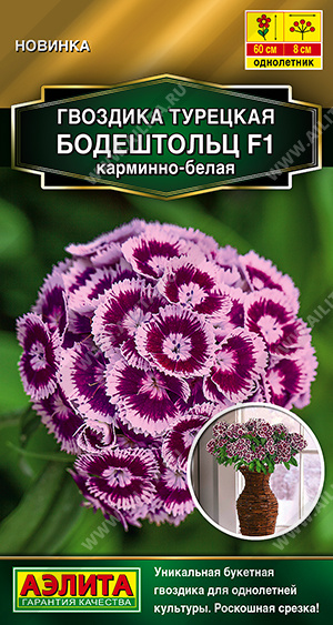 Семена Гвоздика турецкая Бодештольц F1 карминно-белая, 7 шт - фото
