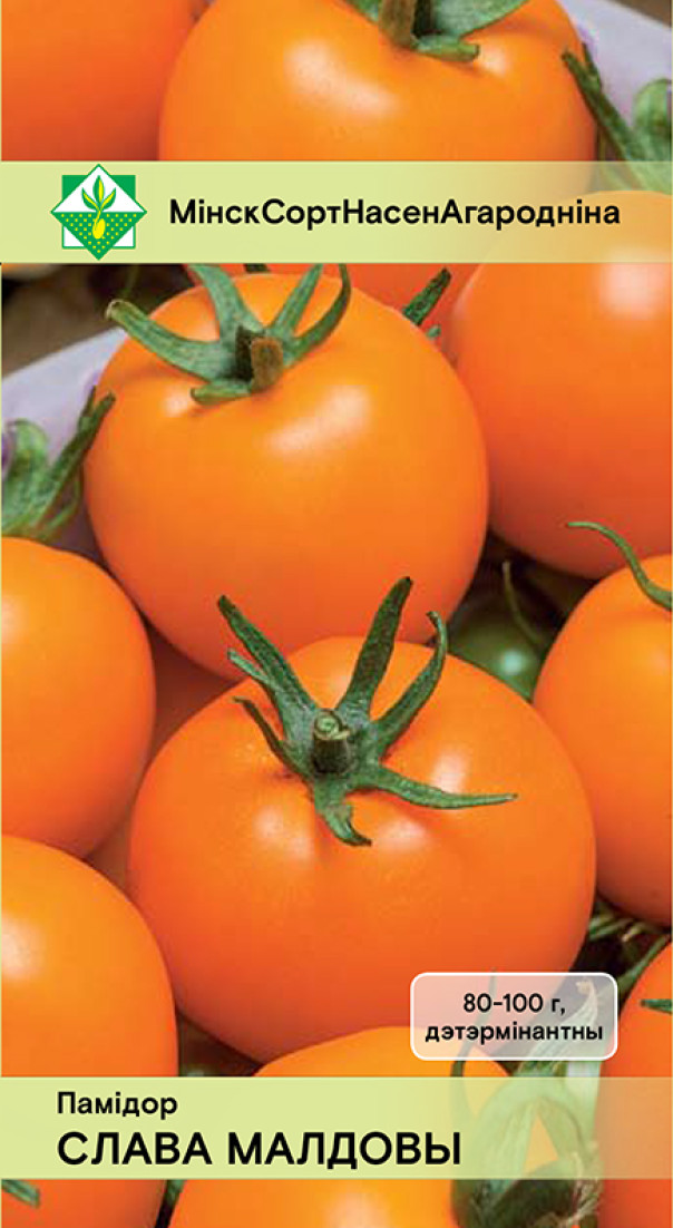 Семена Томат Слава Молдовы, 15 шт - фото