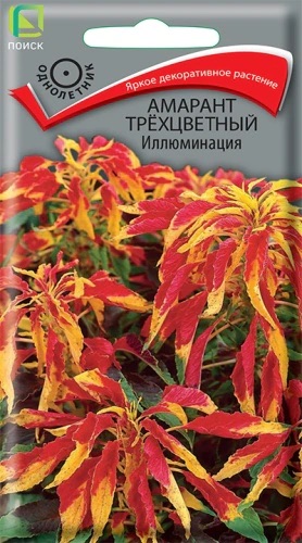 Семена Амарант трехцветный Иллюминация, 0,1 г - фото