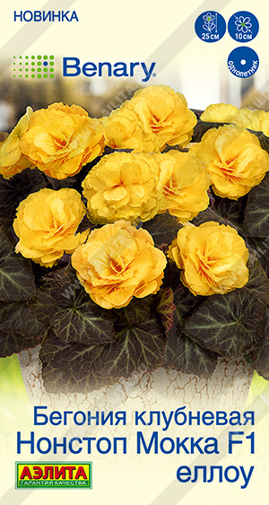 Семена Бегония клубневая Нонстоп мокка F1 еллоу, 5 шт - фото