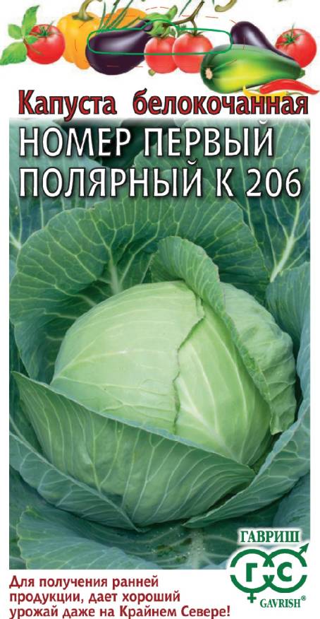 Семена Капуста белокочанная Номер первый полярный К 206, 0,5 г - фото