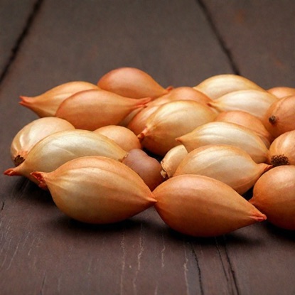 Лук-севок Люстар 10-21 мм, 500 г - фото