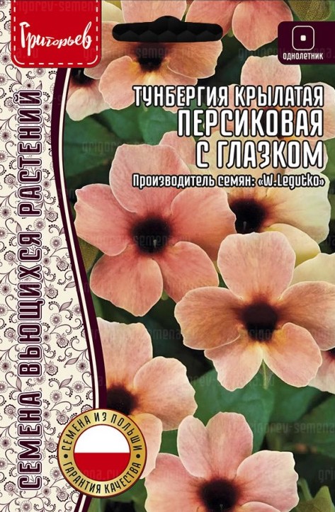 Семена Тунбергия Персиковая с Глазком крылатая, 0,1 г - фото