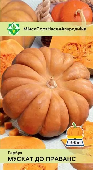 Семена Тыква Мускат де Прованс, 5 шт МинскСортСемОвощ - фото, картинка Семена Тыква Мускат де Прованс, 5 шт МинскСортСемОвощ - фото