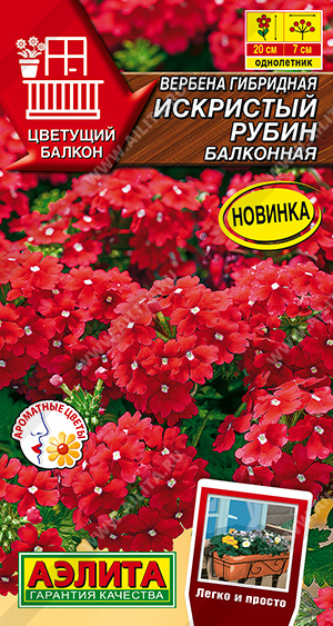 Семена Вербена Искристый рубин балконная, 30 шт - фото