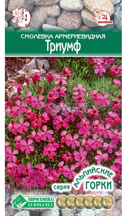 Семена Смолевка армериевидная Триумф, 0,2 г - фото