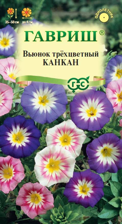 Семена Вьюнок Трехцветный Канкан смесь, 0,5 г - фото