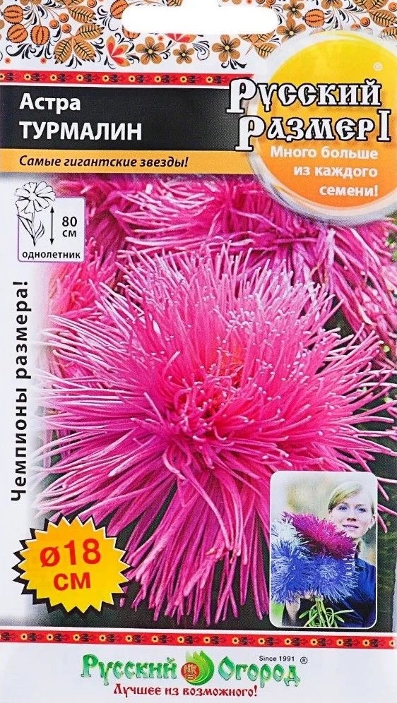 Семена Астра Турмалин Русский Размер, 0,2 г - фото