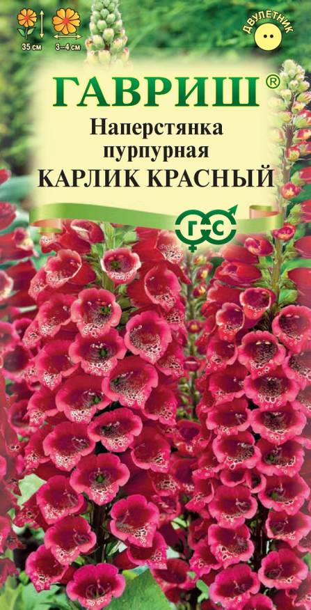 Семена Наперстянка пурпурная Карлик красный, 0,02 г - фото