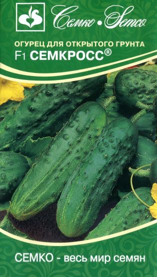 Семена Огурец Семкросс F1, 1 г - фото