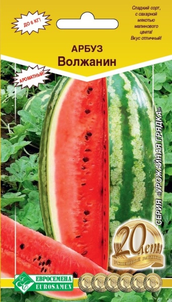 Семена Арбуз Волжанин, 10 шт - фото