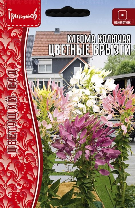 Семена Клеома Цветные Брызги колючая, 0,1 г - фото