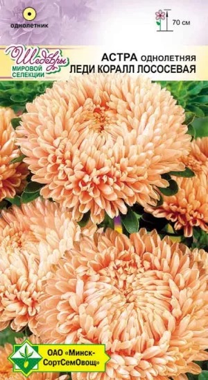 Семена Астра Леди Коралл Лососевая, 0,1 г - фото